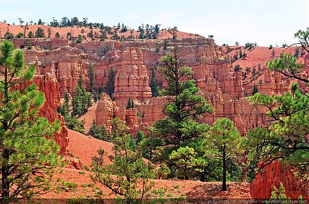 Red-Canyon---09.jpg