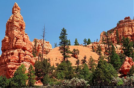 Red-Canyon---11.jpg