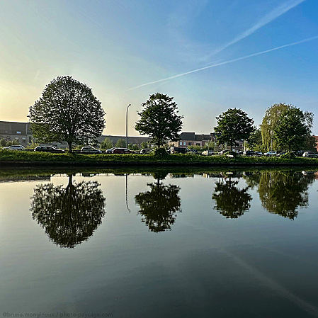 Reflet-arbres-eau-minimaliste-IMG_1077.jpeg