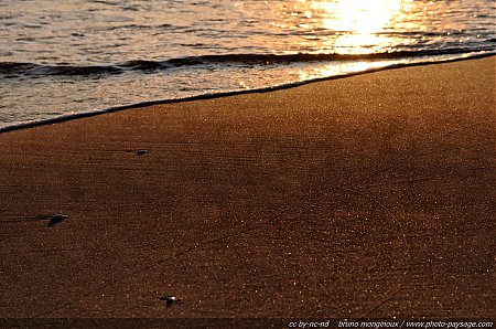 Reflets_sur_la_plage_de_l_Espiguette_-01.JPG