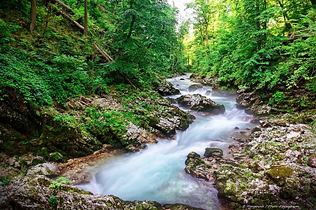 La riviÃ¨re Radovna photographiÃ©e Ã  l'entrÃ©e des gorges de Vintgar
Parc national du Triglav, Bled, SlovÃ©nie