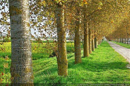 Route_normande.jpg