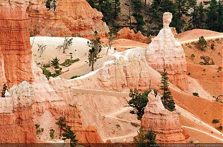 Sentier-de-randonnee-a-Bryce-Canyon.jpg