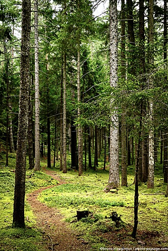 Nom du fichier=Sentier-foret-Innsbruck-Tyrol-1080982.jpeg
Taille du fichier=8906Ko
Dimensions : 3473x5211
Ajouté le : 22 Août 2025 Nom du fichier=Sentier-foret-Innsbruck-Tyrol-1080982.jpeg
Taille du fichier=8906Ko
Dimensions : 3473x5211
Ajouté le : 22 Août 2025