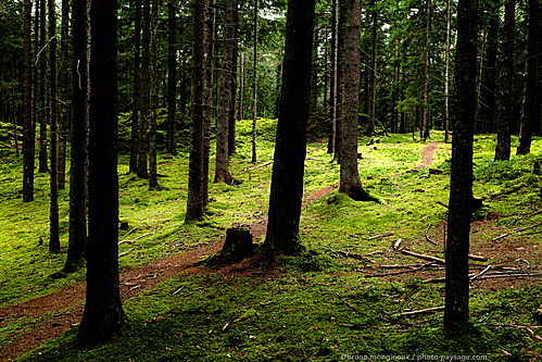 Nom du fichier=Sentier-foret-autriche-1080974.jpeg
Taille du fichier=17611Ko
Dimensions : 5472x3648
Ajouté le : 22 Août 2025 Nom du fichier=Sentier-foret-autriche-1080974.jpeg
Taille du fichier=17611Ko
Dimensions : 5472x3648
Ajouté le : 22 Août 2025