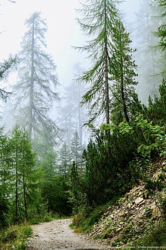 Nom du fichier=Sentier-rando-brume-Dolomites-1090688.jpeg
Taille du fichier=9136Ko
Dimensions : 3640x5466
Ajouté le : 23 Novembre 2025 Nom du fichier=Sentier-rando-brume-Dolomites-1090688.jpeg
Taille du fichier=9136Ko
Dimensions : 3640x5466
Ajouté le : 23 Novembre 2025