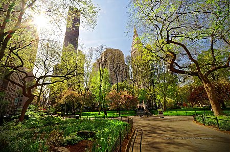 Nom du fichier=Soleil-printanier-a-Madison-Square-Park.jpg
Taille du fichier=5983Ko
Dimensions : 4288x2848
Ajouté le : 24 Mai 2016 Soleil-printanier-a-Madison-Square-Park.jpg
