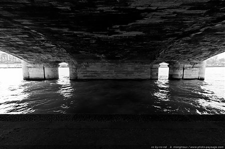 Sous-le-pont-de-la-Concorde.jpg
