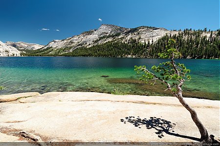 Tenaya-lake.jpg