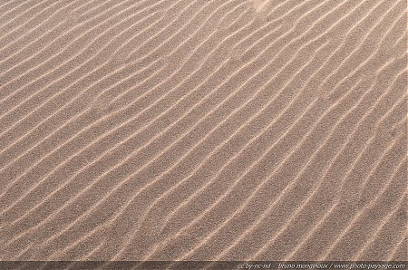 Texture_sur_dune_-_Plage_de_l_Espiguette.jpg