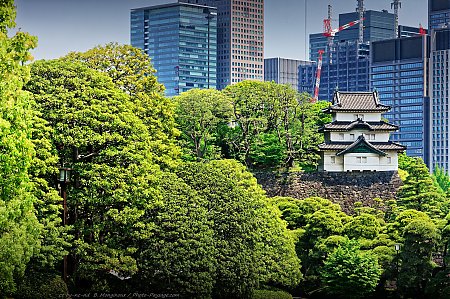 Tokyo-Japon-Tour-de-garde-dans-le-palais_imperial.jpg