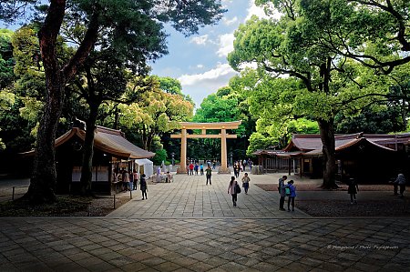 Torii_vu_depuis_l_entree_du_temple_Meiji_Jingu.jpg