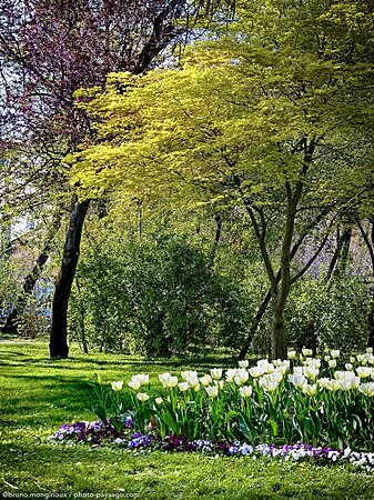 Nom du fichier=Tulipes-parc-Vienne_Autriche-P1070030.jpeg
Taille du fichier=4278Ko
Dimensions : 2417x3222
Ajouté le : 06 Mai 2025 Nom du fichier=Tulipes-parc-Vienne_Autriche-P1070030.jpeg
Taille du fichier=4278Ko
Dimensions : 2417x3222
Ajouté le : 06 Mai 2025