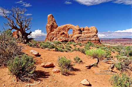 Turret_Arch---parc-national-de-Arches.jpg