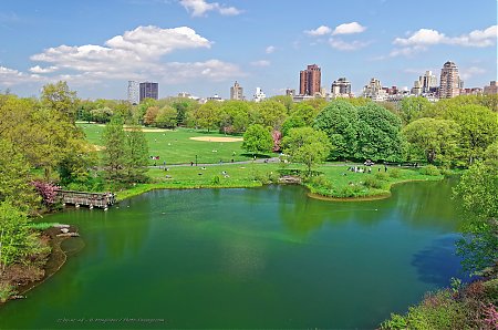 Turtle-pond---Central-Park.jpg