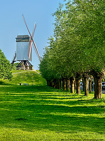 Un-Moulin-a-vent-en-Belgique-IMG_1097.jpeg