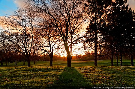 Un-coucher-de-soleil-dans-un-parc.jpg