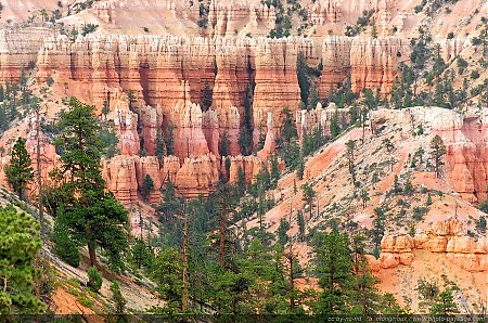 Un-des-paysages-colores-de-Bryce-Canyon.jpg