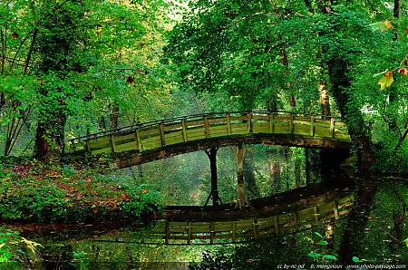 Un-pont-se-reflete-dans-l-eau.jpg