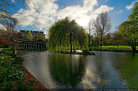 Un-saule-pleureur-dans-le-parc-Monceau.jpg