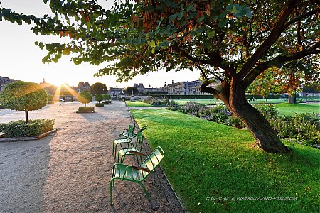 Une-allee-au-petit-matin-dans-le-jardin-des-Tuileries.jpg