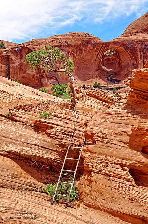 Une-echelle-sur-le-sentier-d_acces-a-la-Bowtie-Arch-et-a-la-Corona-Arch.jpg