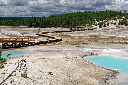 Une-passerelle-traversant-les-sources-thermales-de-Norris-geyser-basin---Yellowstone.jpg