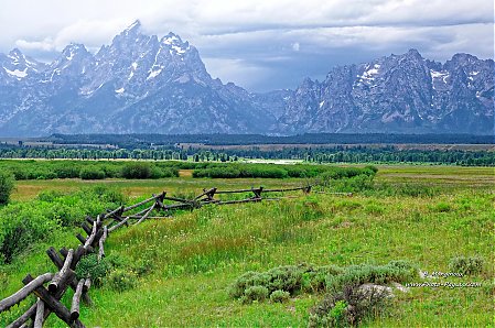 Une-prairie-dans-le-parc-national-de-Grand-Teton.jpg