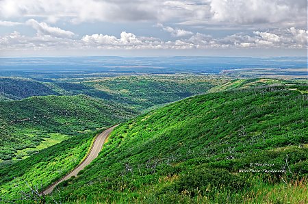 Une-route-a-flanc-de-colline---Mesa-Verde.jpg