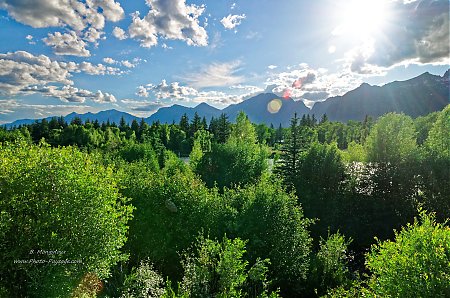 Une-vegetation-dense-sur-les-rives-de-la-Snake-River.jpg