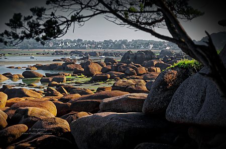 Vue-sur-les-rochers-a-maree-basse-depuis-la-presqu_ile-Renote.jpg