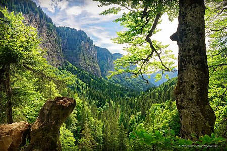 Vue_sur_la_vallee_du_lac_de_Montriond.jpg