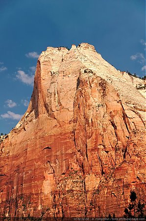 Zion---Abraham-Peak~0.jpg