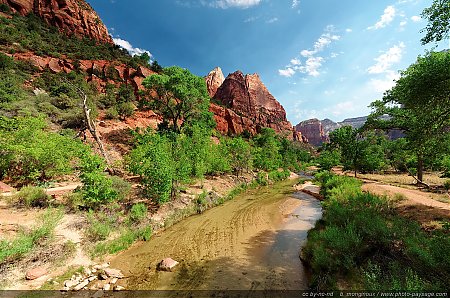 Zion---Virgin-River---North-Fork~0.jpg