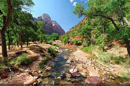 Zion---Virgin-River---Une-riviere-dans-le-desert~3.jpg