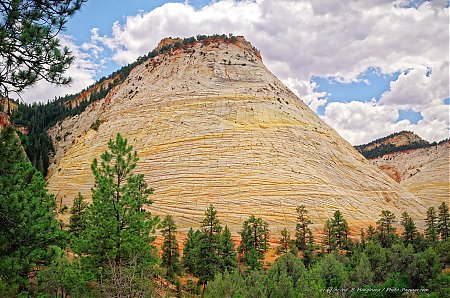 Zion-checkerboard-mesa.jpg