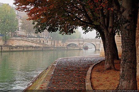 automne-quais-de-seine.jpg