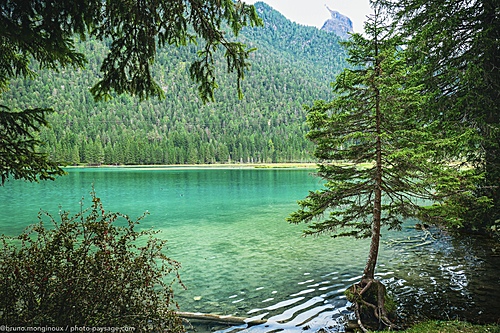 Nom du fichier=lac_magnifique-Dobbiaco-Dolomites-1090566.jpeg
Taille du fichier=10136Ko
Dimensions : 5332x3555
Ajouté le : 19 Septembre 2025