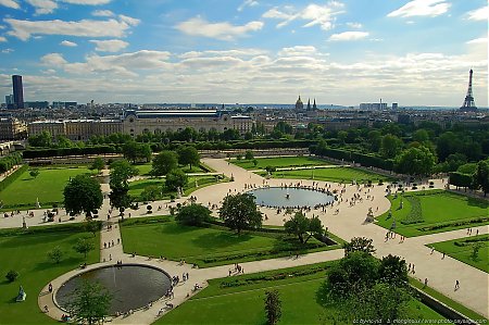 paris-tuileries.jpg