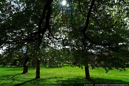 printemps-et-nature-urbaine-04.jpg