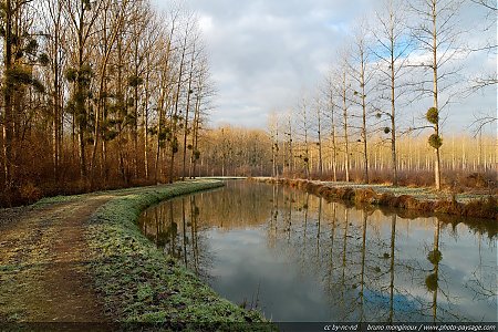 promenade-canal-de-l-ourcq-02.jpg