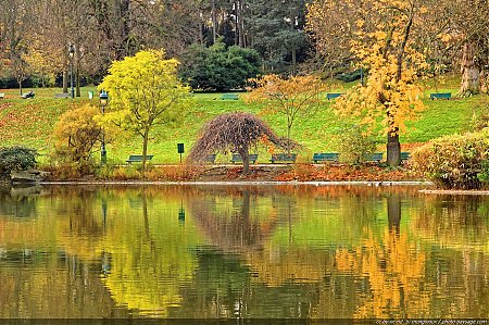 reflet-automne-parc-montsouris-1.jpg